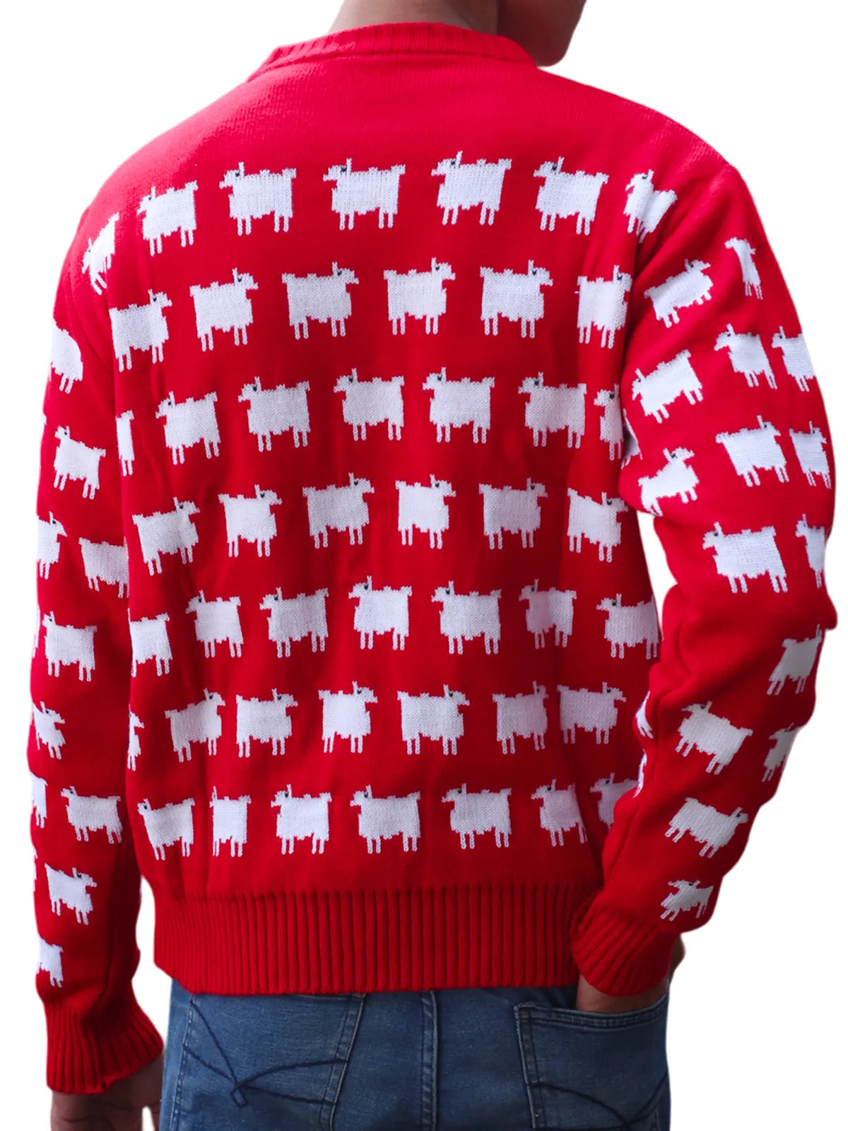 Black Sheep Sweater In Red Color