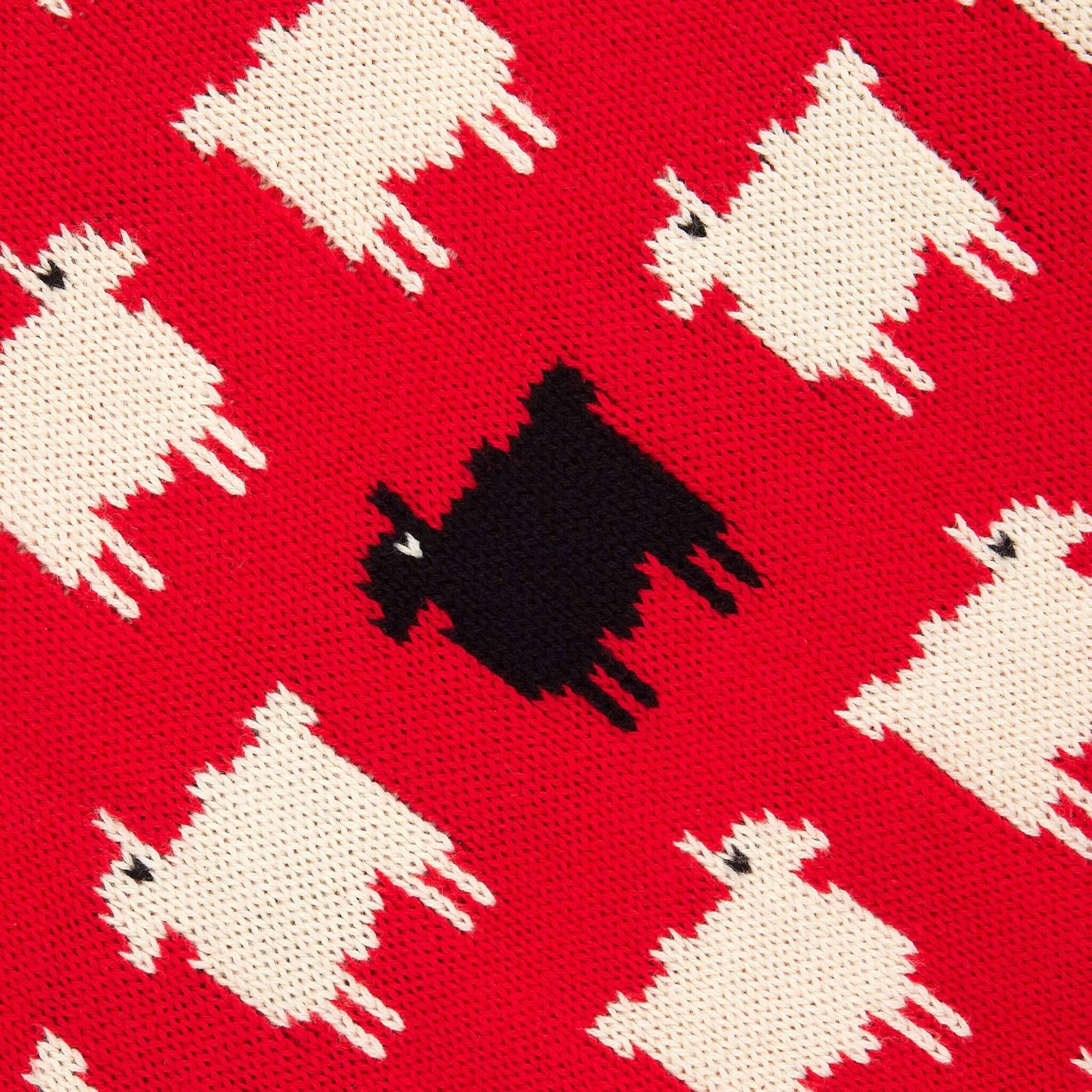 Princess Diana Black Sheep Sweater In Red Color