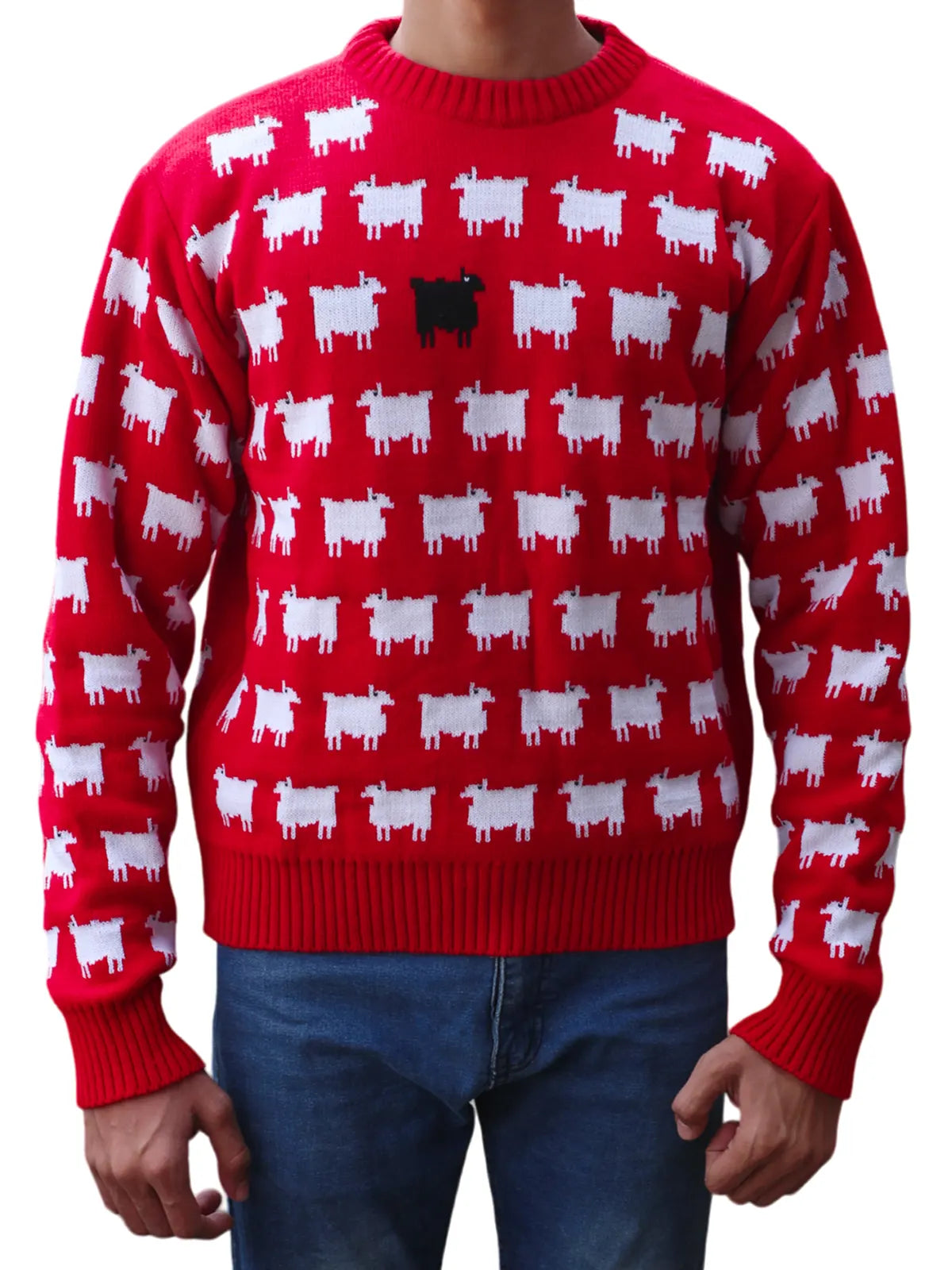 Red Sheep Sweater