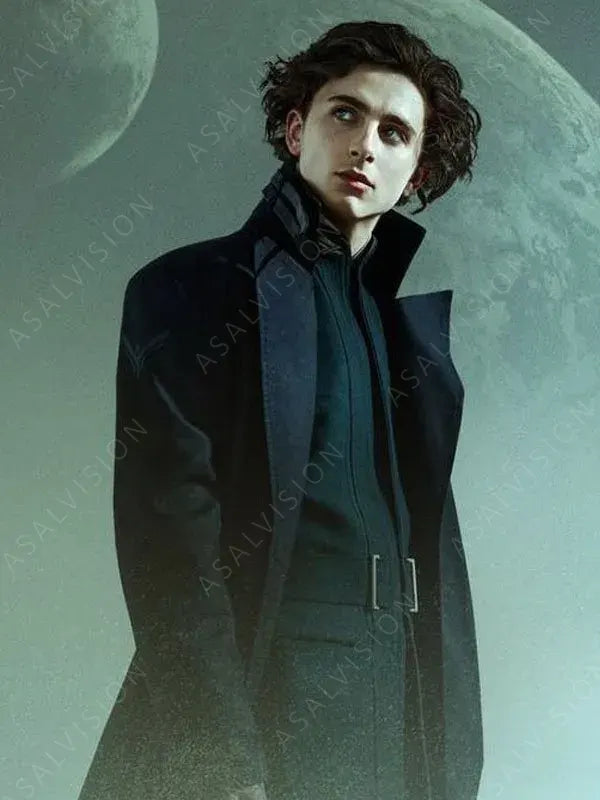 Timothée Chalamet Trench Black Coat