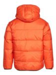 Orange Puffer Jacket With Hood For Winter Wear