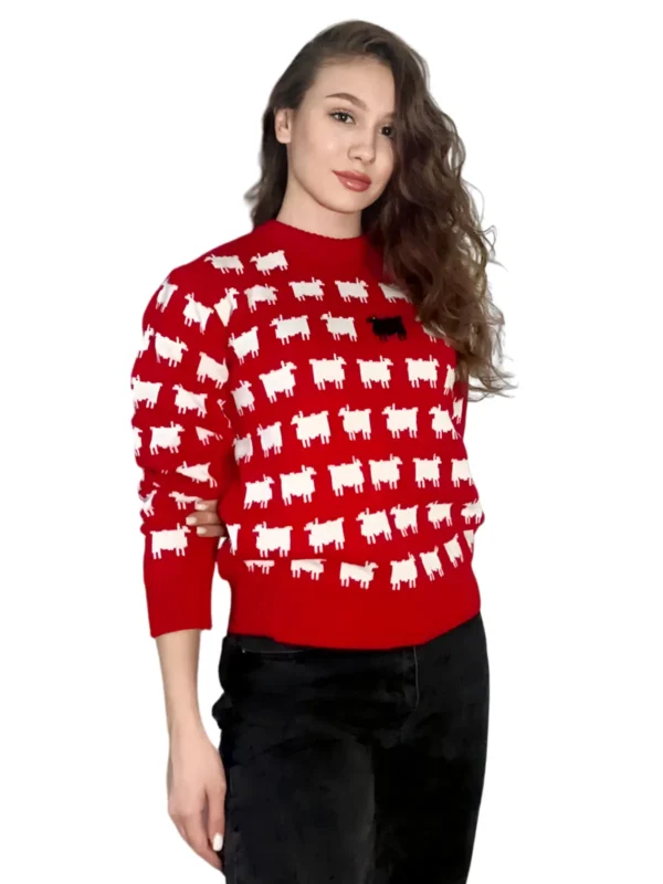 Black Sheep Sweater In Red Color