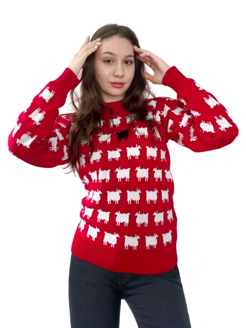 Sweater In Red Color